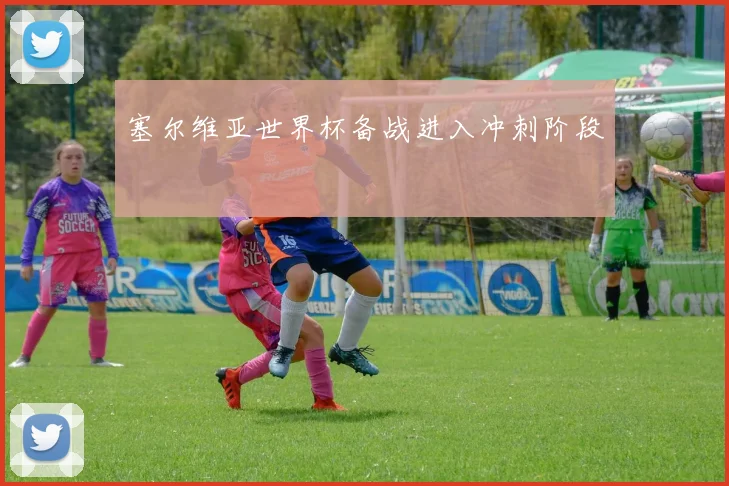 塞尔维亚世界杯备战进入冲刺阶段