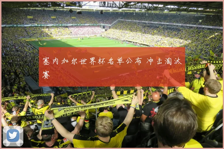 塞内加尔世界杯名单公布 冲击淘汰赛